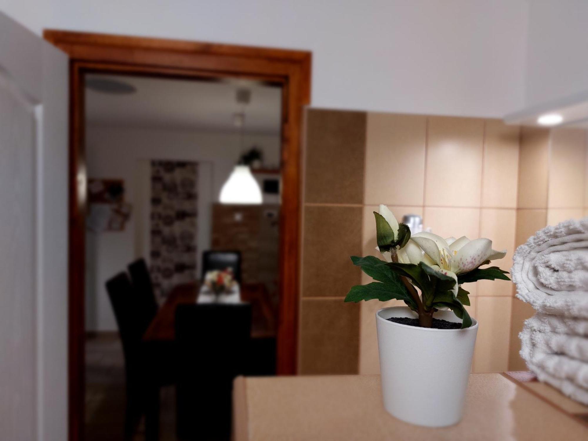 Tulipan Vendeghaz Apartment Sarospatak Exterior photo