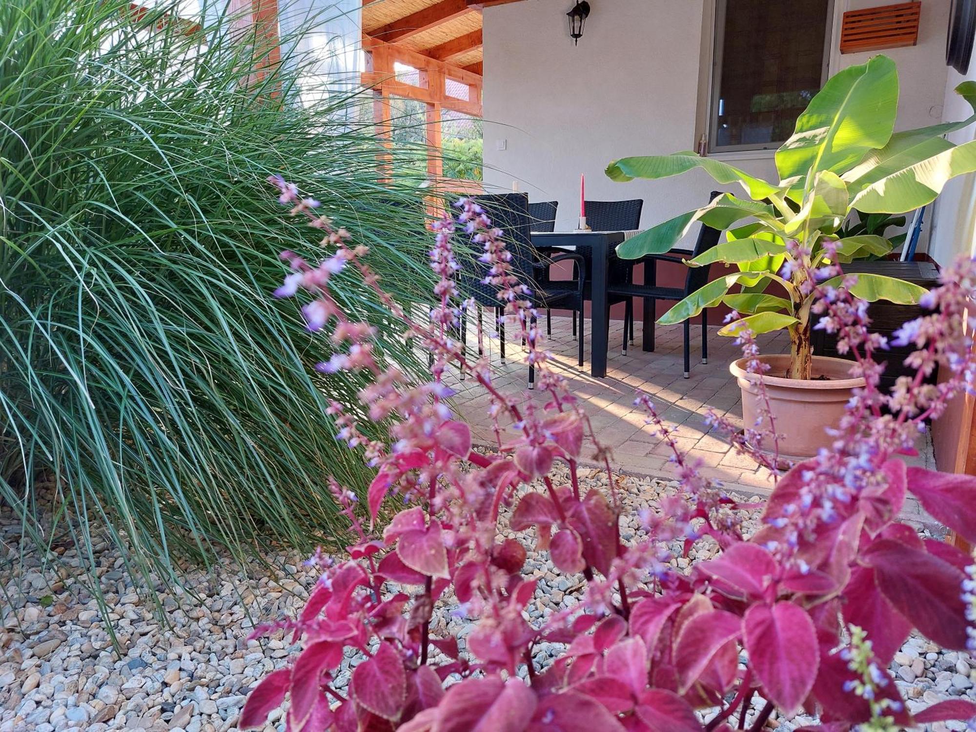 Tulipan Vendeghaz Apartment Sarospatak Exterior photo
